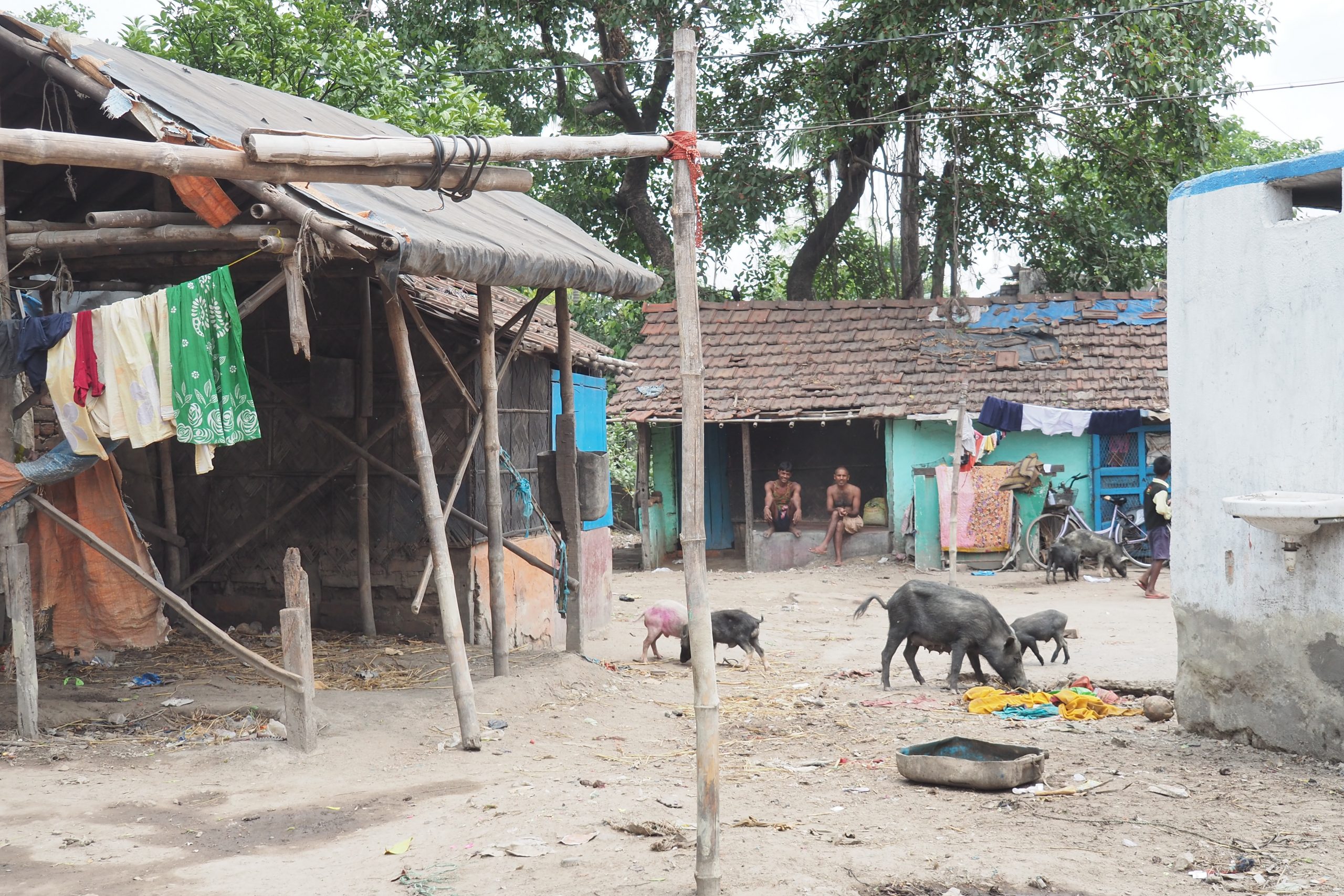 Piccole fattorie familiari