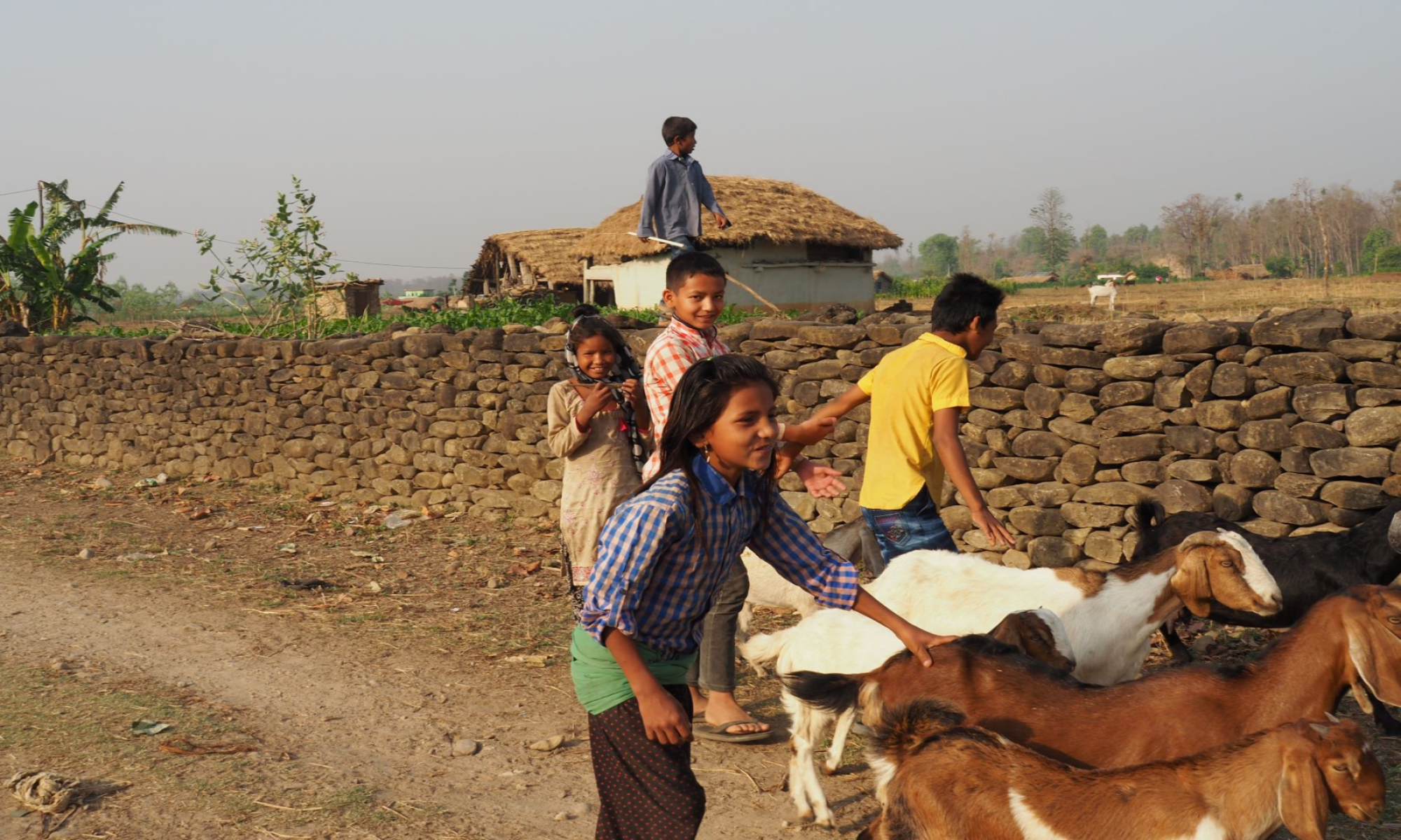 piccole fattorie familiari crescono