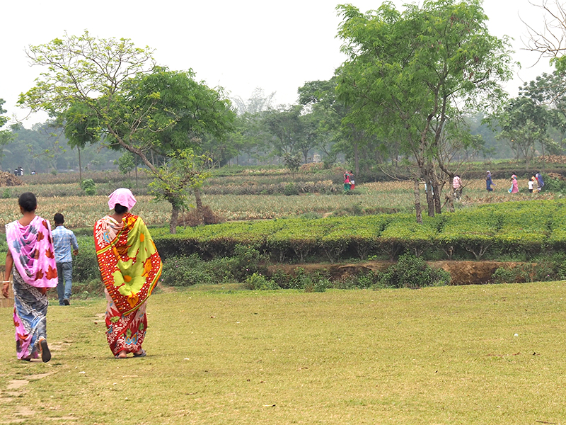Agricoltura, progetto di vita